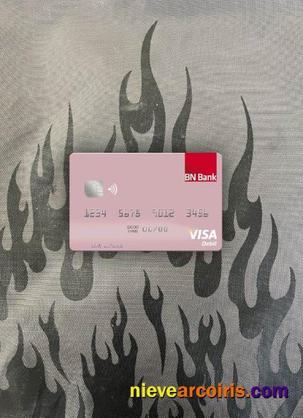 Norway BN Bank ASA visa debit card photolook